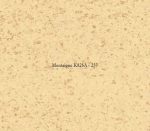 Armstrong Starlux - Image 8